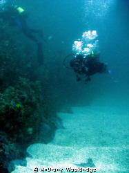 Divers on Scotsman Reef in Port Elizabeth, taken with a C... by Anthony Wooldridge 